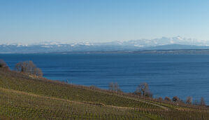 Blick nahe Meersburg über den Bodensee zu den Alpen | Bild: Jörg Braukmann/Wikipedia/CCBYSA