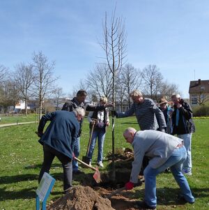v.l.n.r.: Ulrich Kienzler, Willi Keller, Marina Nottbohm, Matthias Degen,Richard Zwick,OB Dieter Gummer, Daniel Born MdL